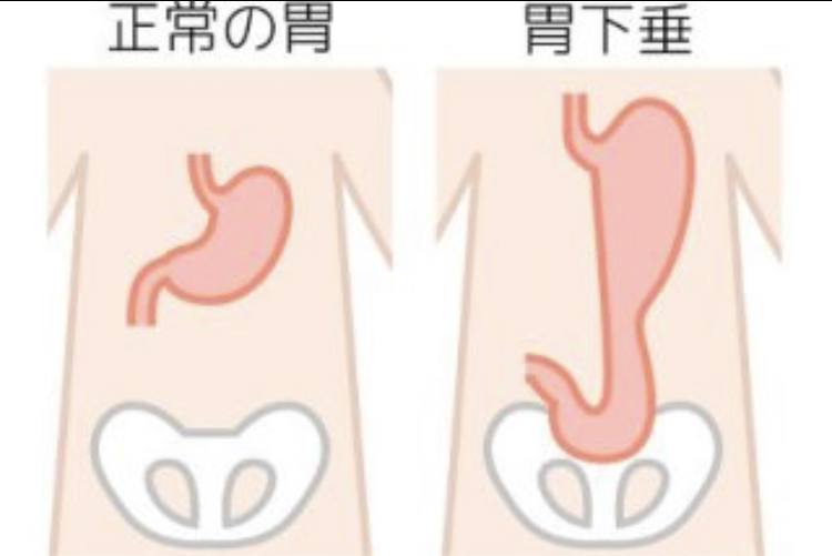 SS健康法では食養生が大切です。